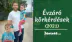 Sz. Nagy Tamás: „Hogyan lehet valakiből vagy valamiből a legtöbbet kihozni úgy, hogy az neki is jó legyen” – évzáró körkérdések 2021cikk borítóképe